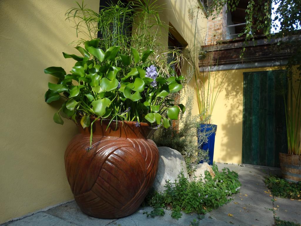Agriturismo Casa De Colores Moretta Exterior photo